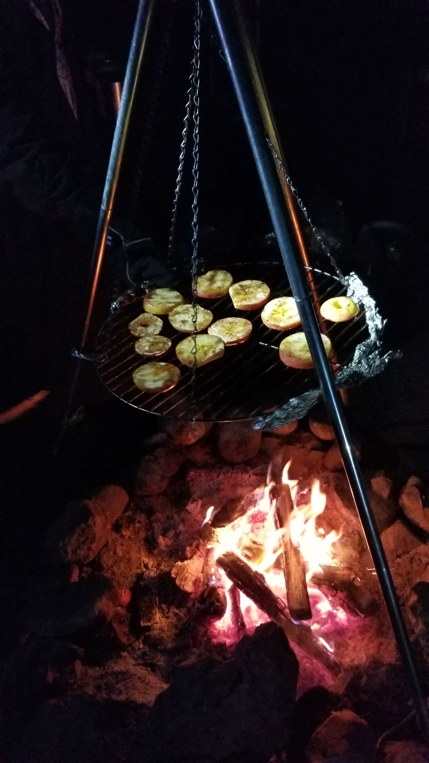 Apples grilling over an open campfire at night